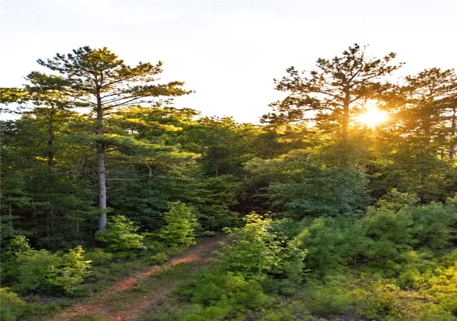 Photo 3 of Land for sale at 000 Highway 81, Iva, SC 29655 | MLS# 20306781 | Listing updated on 2026-10-02