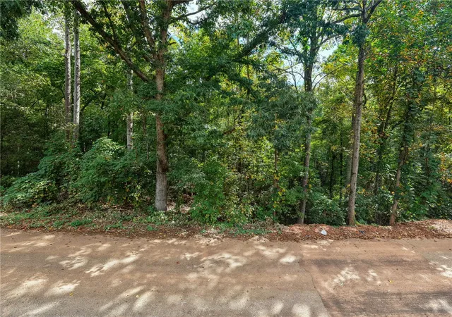 Photo 2 of Land for sale at 00 San Frd Dr, Easley, SC 29640 | MLS# 20306821 | Listing updated on 2026-10-26
