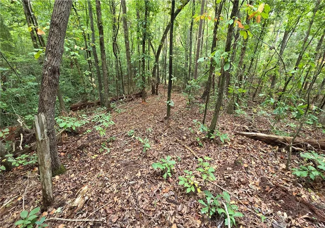 Photo 3 of Land for sale at 00 San Frd Dr, Easley, SC 29640 | MLS# 20306821 | Listing updated on 2026-10-26
