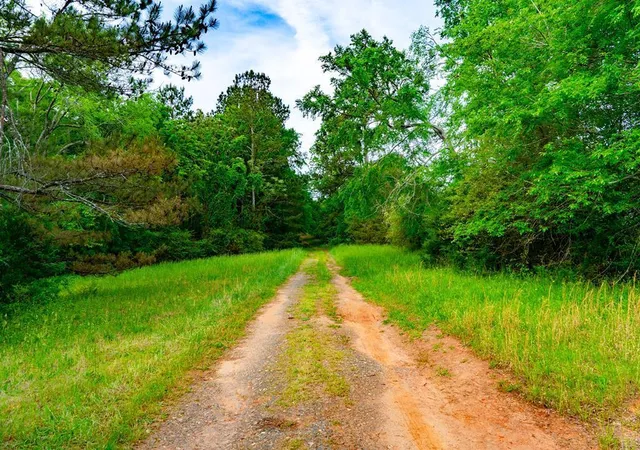 Photo 1 of Land for sale at 13089 Indian Mound Rd, Ware Shoals, SC 29692 | MLS# 20307061 | Listing updated on 2026-10-07
