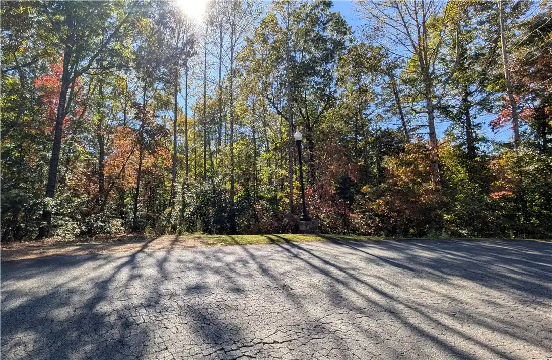 Land for sale at 312 Scharlin Dr, Pickens, SC 29671 | MLS# 20308678