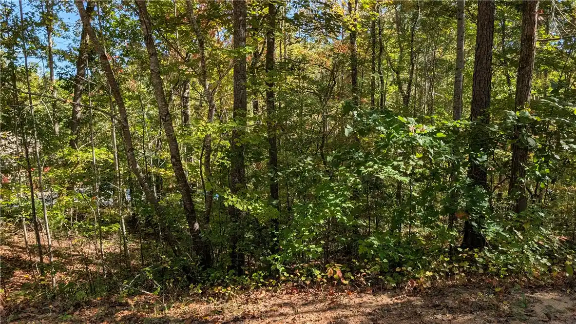 Photo 1 of Land for sale at 152 Julie Way, Pickens, SC 29671 | MLS# 20308685 | Listing updated on 2026-10-26
