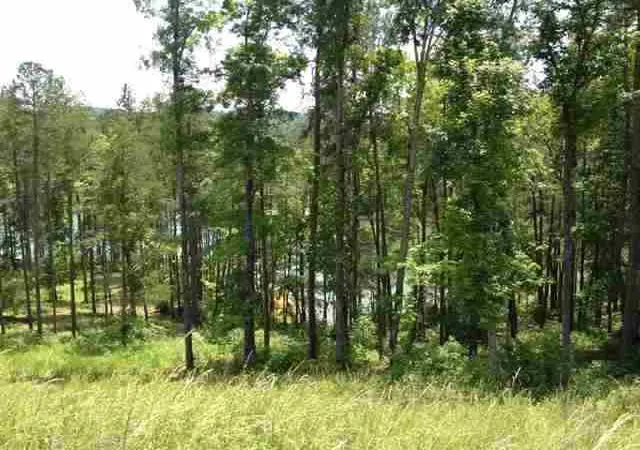 Photo 3 of Land for sale at Lot 12 Four Pointes N #Whisper Lane, Salem, SC 29676 | MLS# 20196159 | Listing updated on 2026-10-22