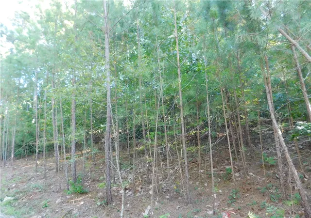 Photo 1 of Land for sale at Lot 6 Bentwood Way, Salem, SC 29676 | MLS# 20232772 | Listing updated on 2026-09-17