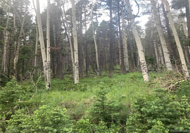 Photo 1 of Land for sale at 2956 Kemper Loop, Fort Garland, CO 81133 | MLS# 3740135 | Listing updated on 2026-03-01