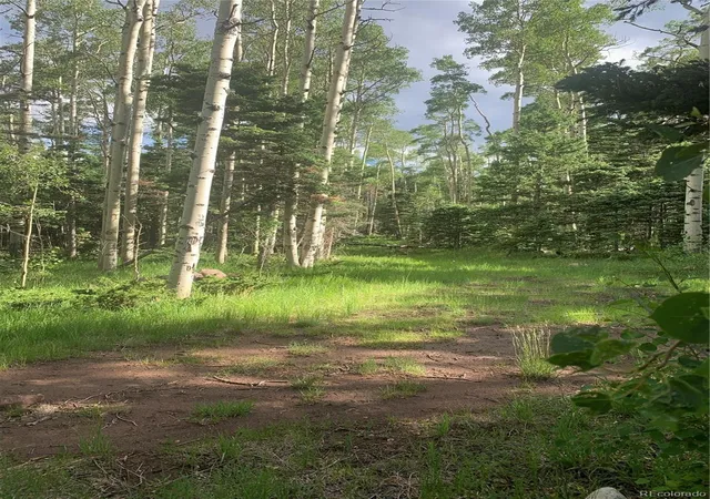 Photo 3 of Land for sale at 2956 Kemper Loop, Fort Garland, CO 81133 | MLS# 3740135 | Listing updated on 2026-03-01