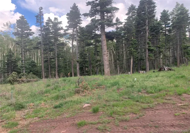 Photo 4 of Land for sale at 2956 Kemper Loop, Fort Garland, CO 81133 | MLS# 3740135 | Listing updated on 2026-03-01