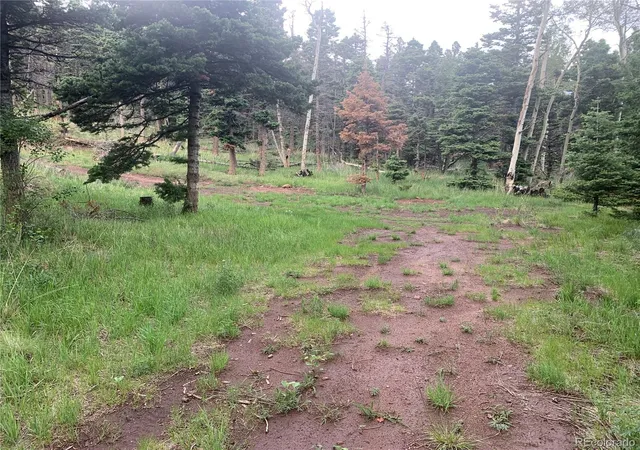 Photo 5 of Land for sale at 2956 Kemper Loop, Fort Garland, CO 81133 | MLS# 3740135 | Listing updated on 2026-03-01
