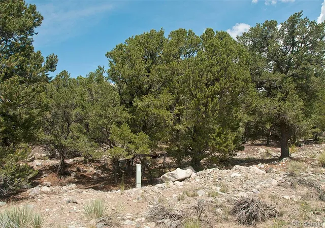 Photo 4 of Land at 3899 Rarity Way, Crestone, CO 81131 | MLS# 4922727 |  | Sold on 2023-07-07