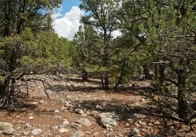 Photo 5 of Land at 3899 Rarity Way, Crestone, CO 81131 | MLS# 4922727 |  | Sold on 2023-07-07
