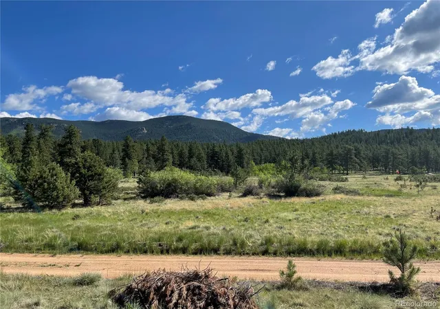 Photo 1 of Unimproved Land at 116 Neal St, Bailey, CO 80421 | MLS# 3909009 | | Sold on 2023-06-16