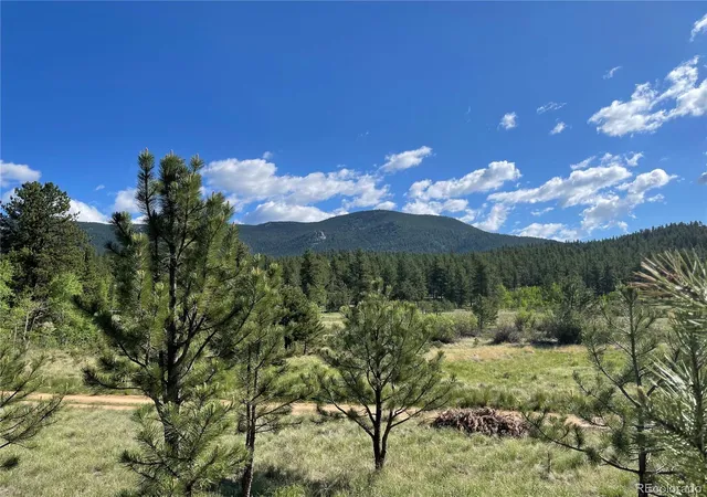 Photo 2 of Unimproved Land at 116 Neal St, Bailey, CO 80421 | MLS# 3909009 | | Sold on 2023-06-16