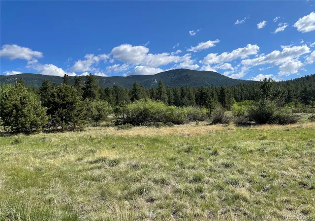 Photo 3 of Unimproved Land at 116 Neal St, Bailey, CO 80421 | MLS# 3909009 | | Sold on 2023-06-16