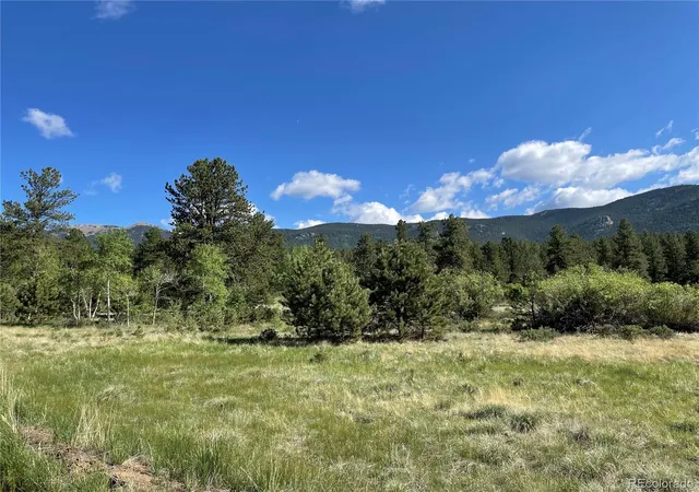 Photo 4 of Unimproved Land at 116 Neal St, Bailey, CO 80421 | MLS# 3909009 | | Sold on 2023-06-16