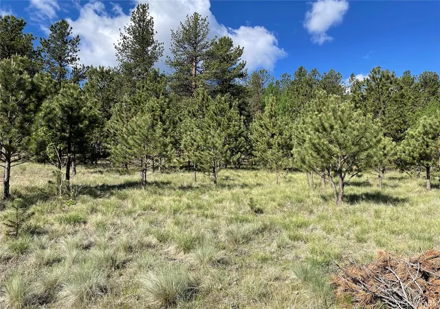 Photo 5 of Unimproved Land at 116 Neal St, Bailey, CO 80421 | MLS# 3909009 | | Sold on 2023-06-16