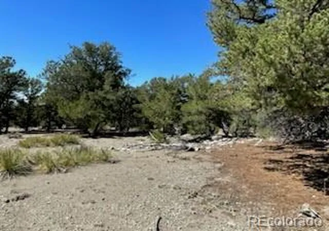 Homes for sale in Mosca, CO | 15 Mill Run Rd, Mosca, CO 81146 | MLS# 2302159