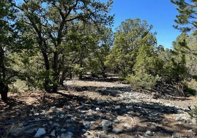 Homes for sale in Mosca, CO | 15 Mill Run Rd, Mosca, CO 81146 | MLS# 2302159