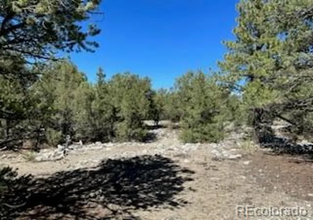 Homes for sale in Mosca, CO | 15 Mill Run Rd, Mosca, CO 81146 | MLS# 2302159