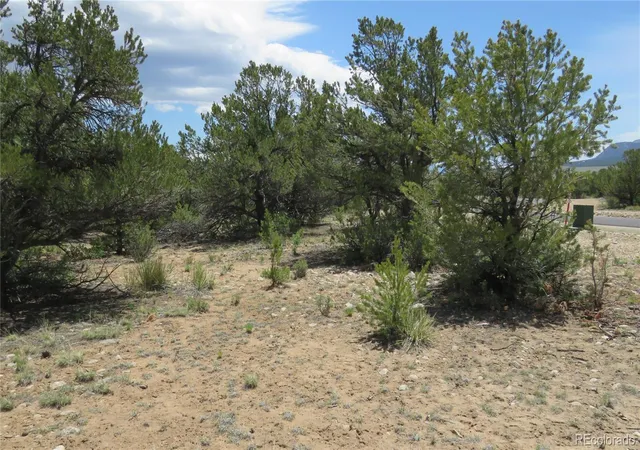 Homes for sale in Buena Vista, CO | 29266 Timber Ridge, Buena Vista, CO 81211 | MLS# 3388027