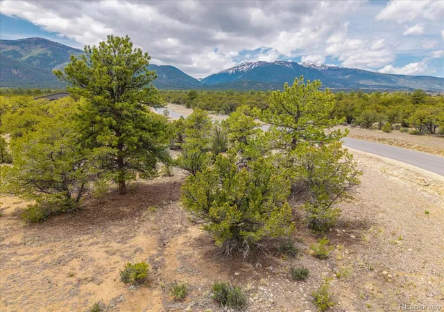 Homes for sale in Buena Vista, CO | 28924 Timber Ridge, Buena Vista, CO 81211 | MLS# 3735079