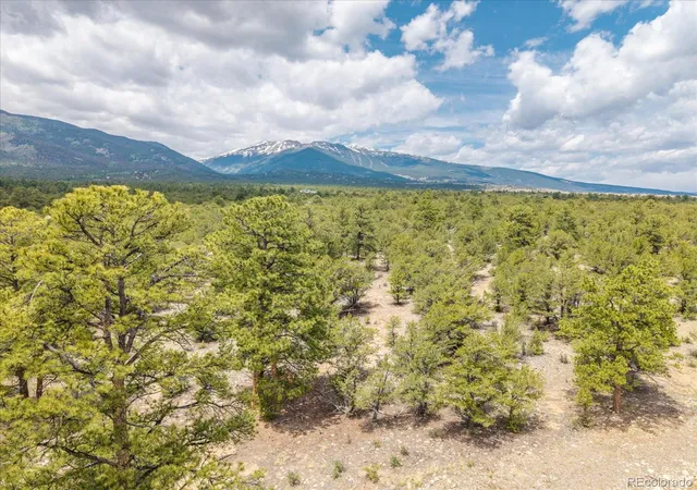 Homes for sale in Buena Vista, CO | 28924 Timber Ridge, Buena Vista, CO 81211 | MLS# 3735079