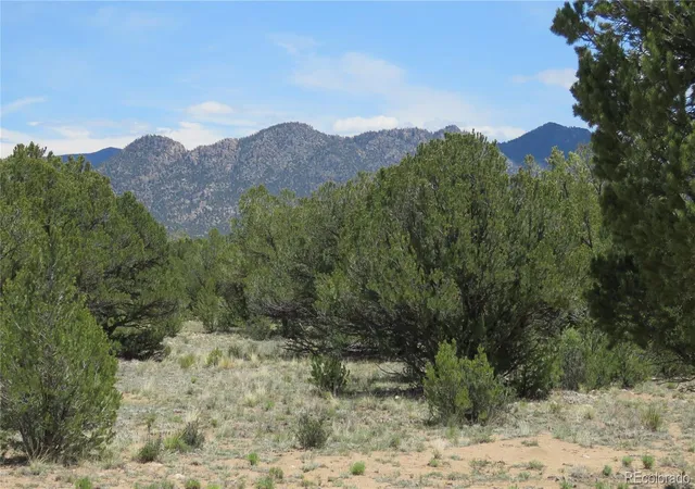Homes for sale in Buena Vista, CO | 28924 Timber Ridge, Buena Vista, CO 81211 | MLS# 3735079