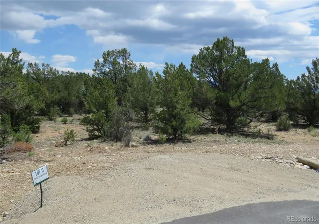 Homes for sale in Buena Vista, CO | 28922 Timber Ridge, Buena Vista, CO 81211 | MLS# 8172890