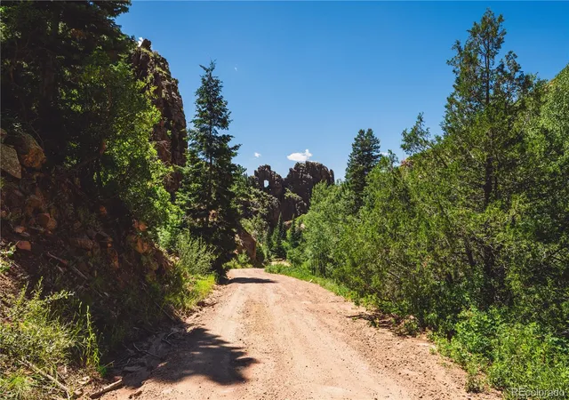 4th image of Shelf Rd, Florissant, CO 80816 | MLS# 9344811