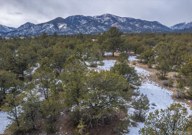 Homes for sale in Buena Vista, CO | 29258 Sage Ln, Buena Vista, CO 81211 | MLS# 1881298