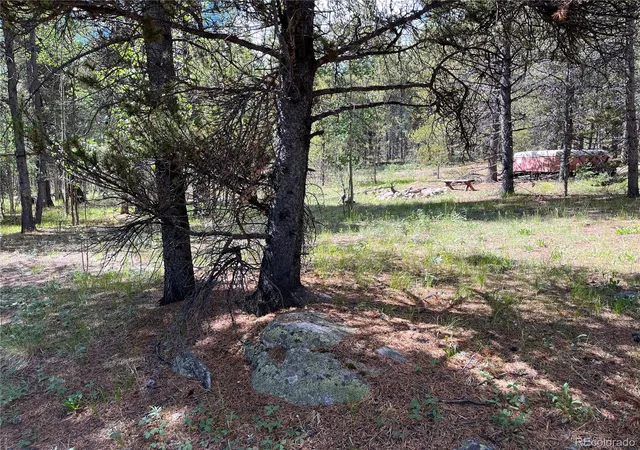 2nd image of 235 Ski Doo Rd, Fairplay, CO 80440 | MLS# 5748458