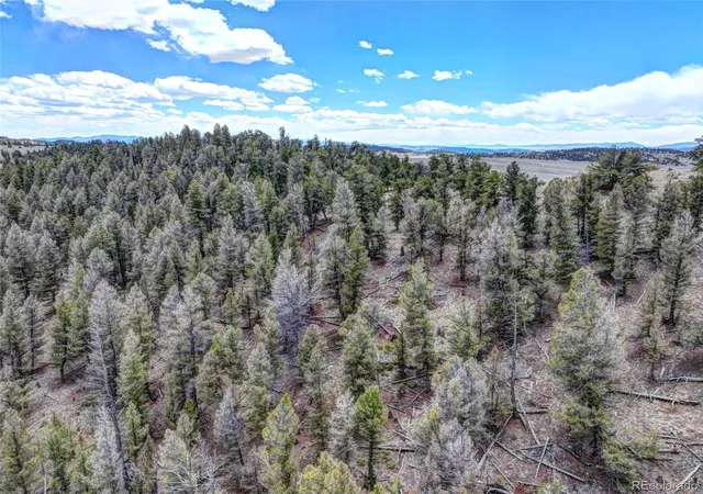 Photo 3 of Land for sale at 0 Galahad Way, Hartsel, CO 80449 | MLS# 7827714 | Listing updated on 2026-06-29
