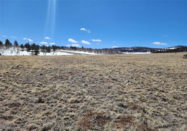 Homes for sale in Hartsel, CO | 244 Brahma Cir, Hartsel, CO 80449 | MLS# 8662600