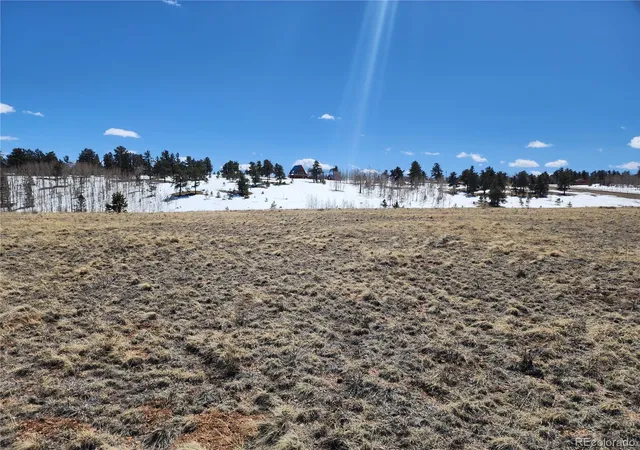Homes for sale in Hartsel, CO | 244 Brahma Cir, Hartsel, CO 80449 | MLS# 8662600