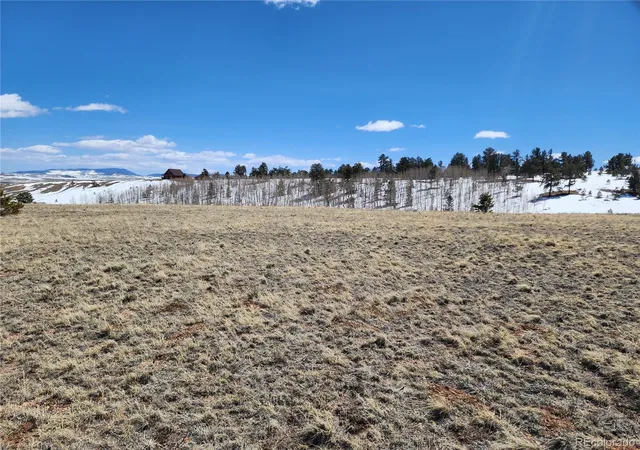 Homes for sale in Hartsel, CO | 244 Brahma Cir, Hartsel, CO 80449 | MLS# 8662600