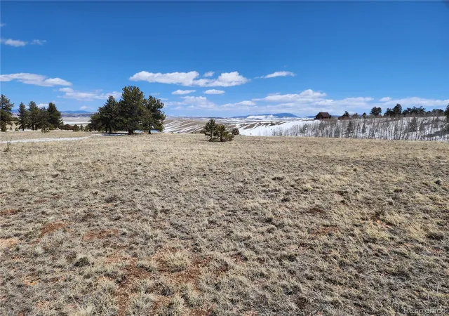 Homes for sale in Hartsel, CO | 244 Brahma Cir, Hartsel, CO 80449 | MLS# 8662600