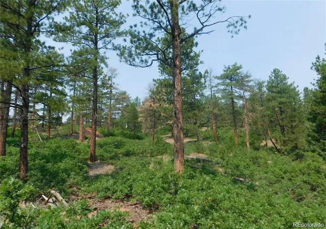 Homes for sale in Larkspur, CO | 4356 Elati Rd, Larkspur, CO 80118 | MLS# 6285236