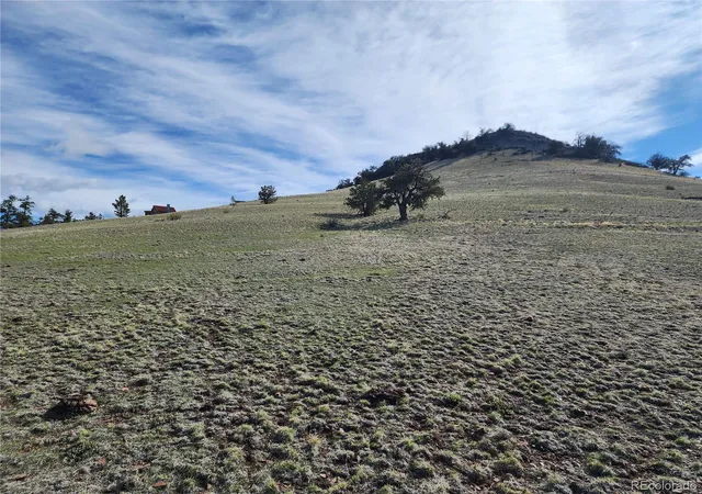 Homes for sale in Hartsel, CO | 558 Chickadee Dr, Hartsel, CO 80449 | MLS# 2031145