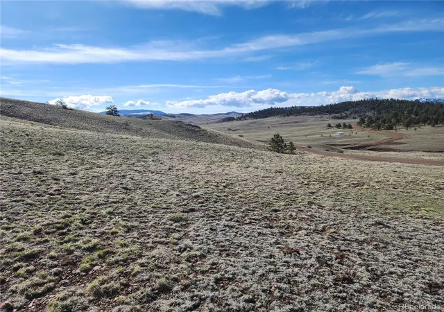 Homes for sale in Hartsel, CO | 558 Chickadee Dr, Hartsel, CO 80449 | MLS# 2031145