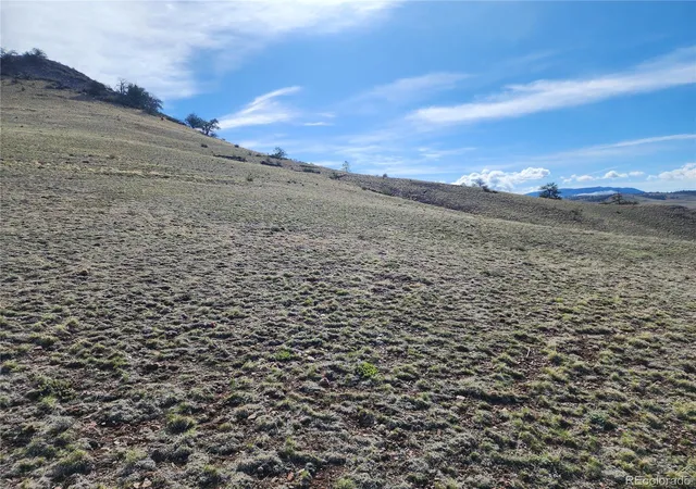 Homes for sale in Hartsel, CO | 558 Chickadee Dr, Hartsel, CO 80449 | MLS# 2031145