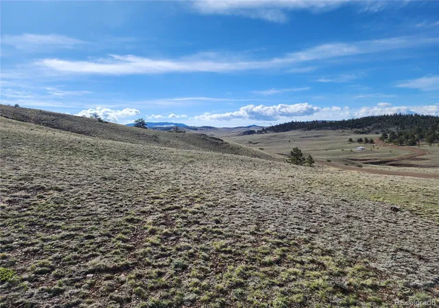 Homes for sale in Hartsel, CO | 558 Chickadee Dr, Hartsel, CO 80449 | MLS# 2031145