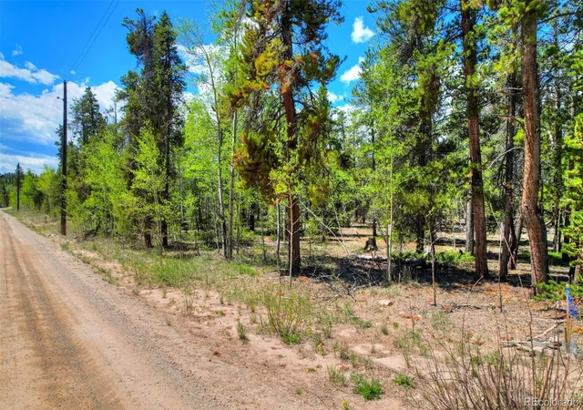 Homes for sale in Fairplay, CO | 0 Busch Run Rd, Fairplay, CO 80440 | MLS# 5323691