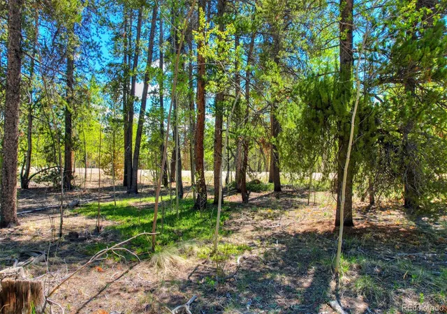 Homes for sale in Fairplay, CO | 0 Busch Run Rd, Fairplay, CO 80440 | MLS# 5323691