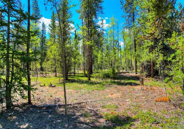 Homes for sale in Fairplay, CO | 0 Busch Run Rd, Fairplay, CO 80440 | MLS# 5323691