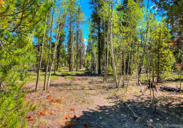 Homes for sale in Fairplay, CO | 0 Busch Run Rd, Fairplay, CO 80440 | MLS# 5323691