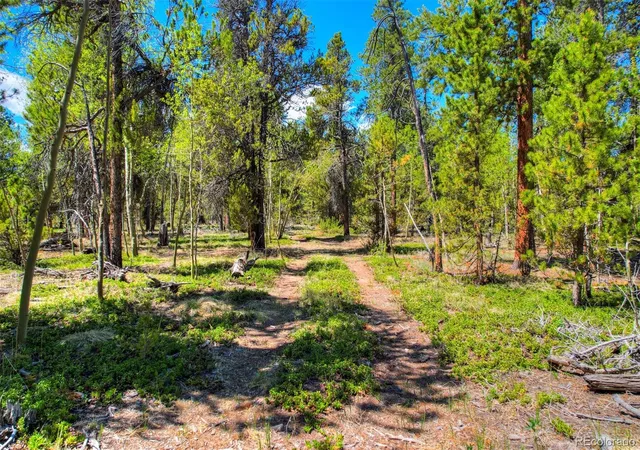 Homes for sale in Fairplay, CO | 0 Busch Run Rd, Fairplay, CO 80440 | MLS# 5323691