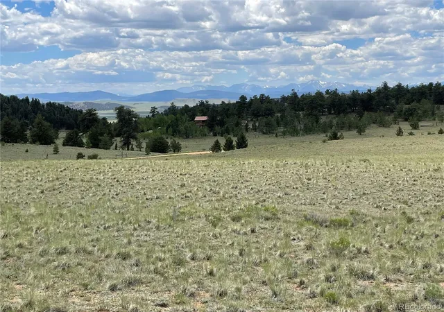 Homes for sale in Hartsel, CO | 853 La Plata Dr, Hartsel, CO 80449 | MLS# 4052143