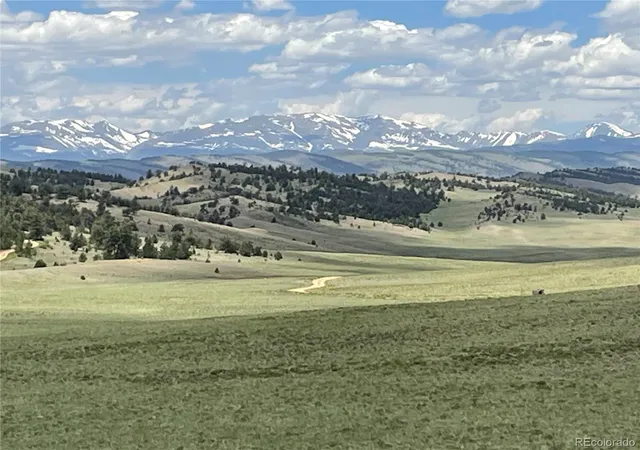 Homes for sale in Hartsel, CO | 853 La Plata Dr, Hartsel, CO 80449 | MLS# 4052143