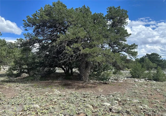 Homes for sale in Crestone, CO | 3694 Enchanted Way, Crestone, CO 81131 | MLS# 3275029