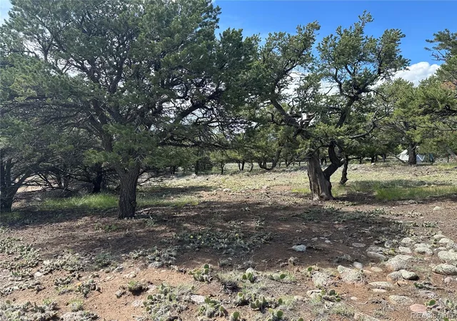 Homes for sale in Crestone, CO | 3694 Enchanted Way, Crestone, CO 81131 | MLS# 3275029