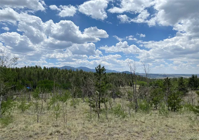 Homes for sale in Jefferson, CO | 0 Tbd Al Gulch Rd, Jefferson, CO 80456 | MLS# 9313649